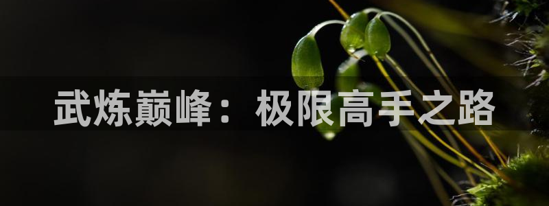 涩漫天堂漫画：武炼巅峰：极限高手之路