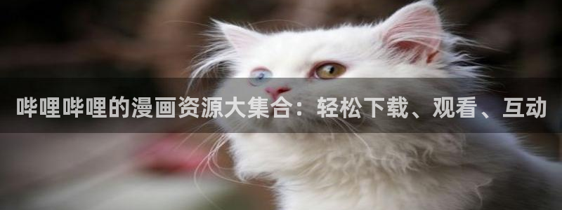 天堂漫画在线免费观看：哔哩哔哩的漫画资源大集合：轻松下载、观看、互动